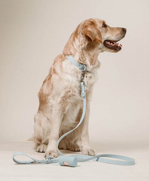 Collar Set