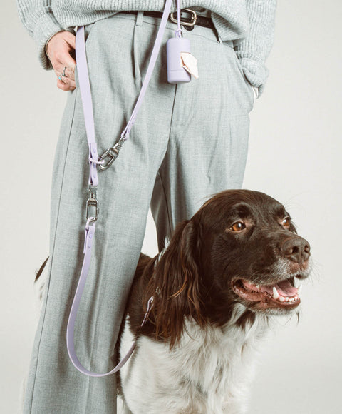 Walk Set