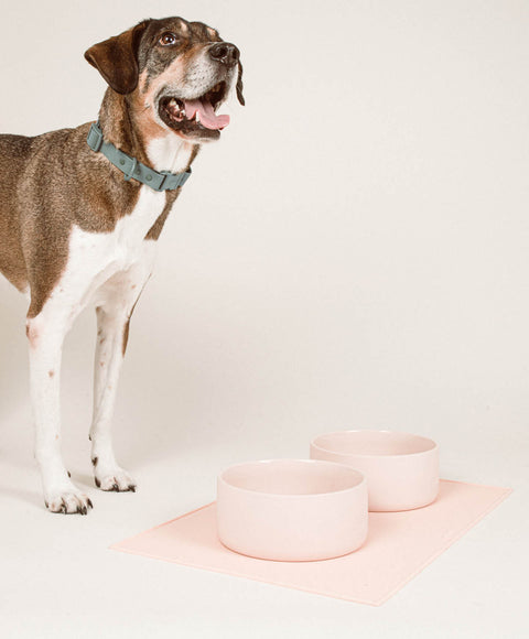 Ceramic Bowl