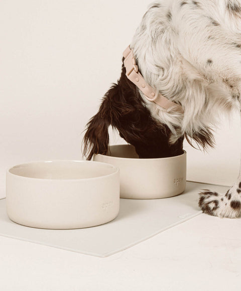 Ceramic Bowl