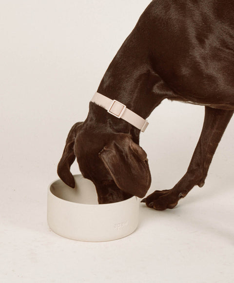 Ceramic Bowl