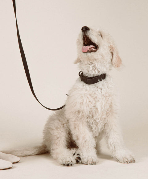 Halsband 'Ease'