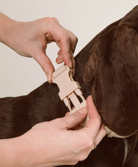 Halsband 'Ease'