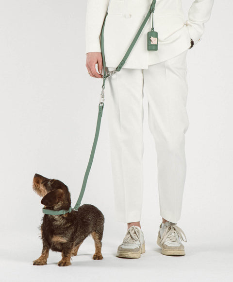 Walk Set