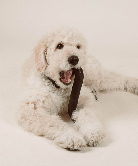 Rubber Bone