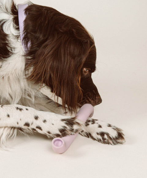 Rubber Bone