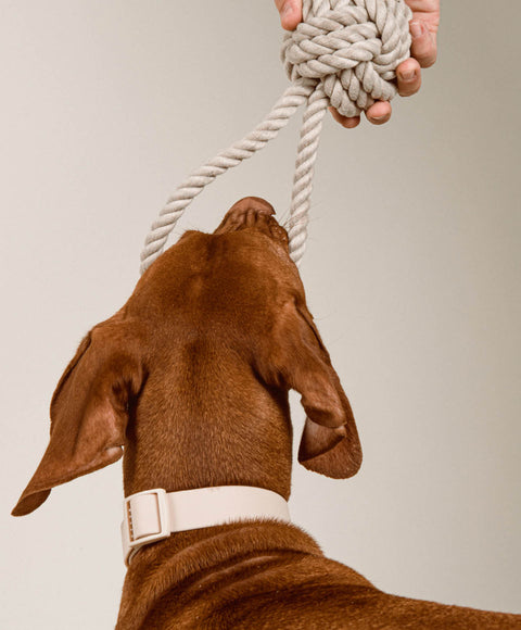 Twisted Rope Toy