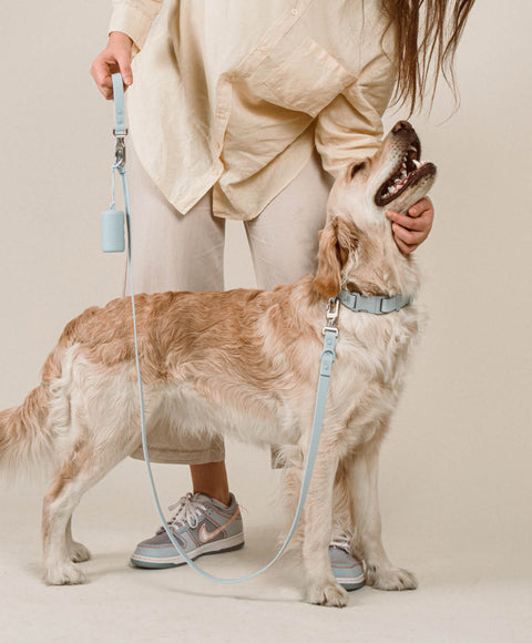 Walk Set